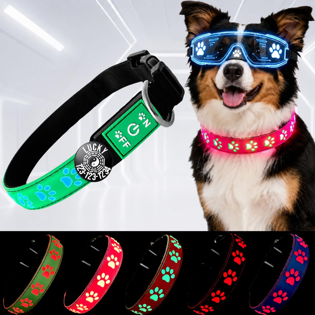 DOGLED LED Light up Dog Collar with Laser Engraved ID Tag, Paw Print Design, 15 Color Modes, USB-C Charging, Waterproof