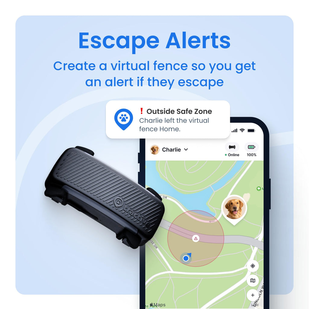 Tractive Smart Dog GPS Tracker with Virtual Fence & Health Monitoring