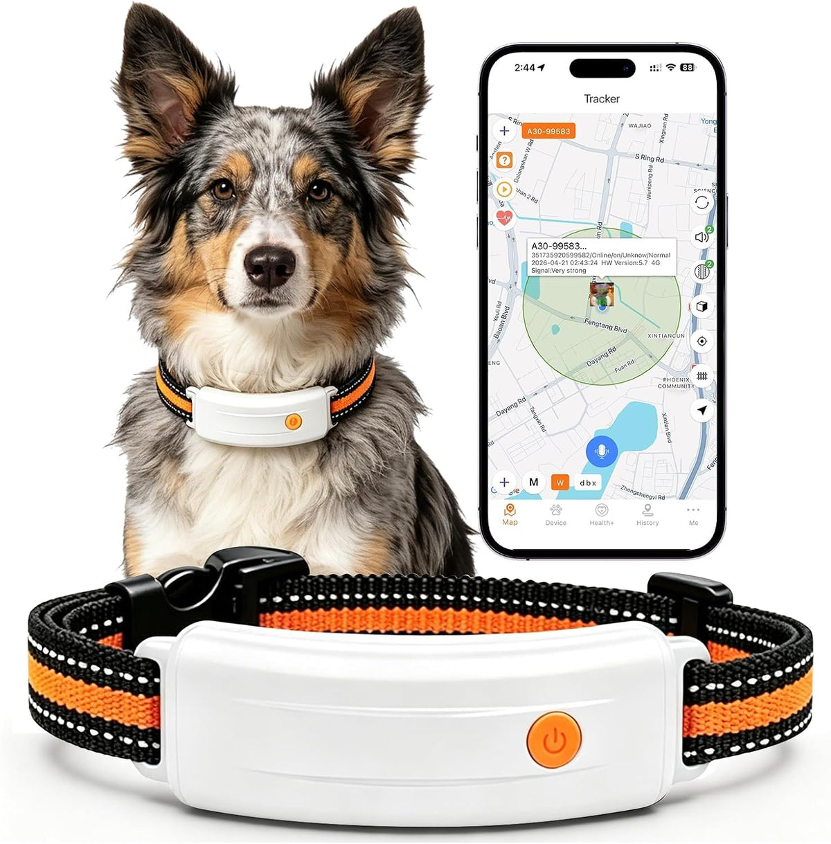 Dog Collar