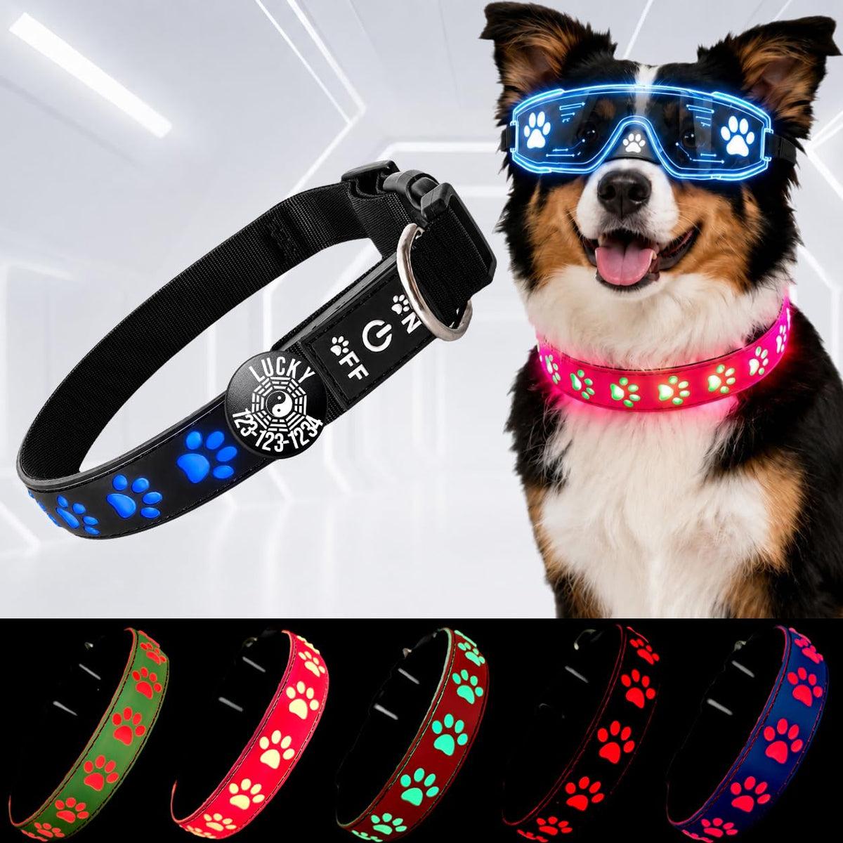 DOGLED LED Light up Dog Collar with Laser Engraved ID Tag, Paw Print Design, 15 Color Modes, USB-C Charging, Waterproof