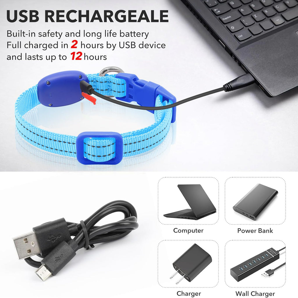 USB-C Rechargeable LED Dog Collar for Night Walking