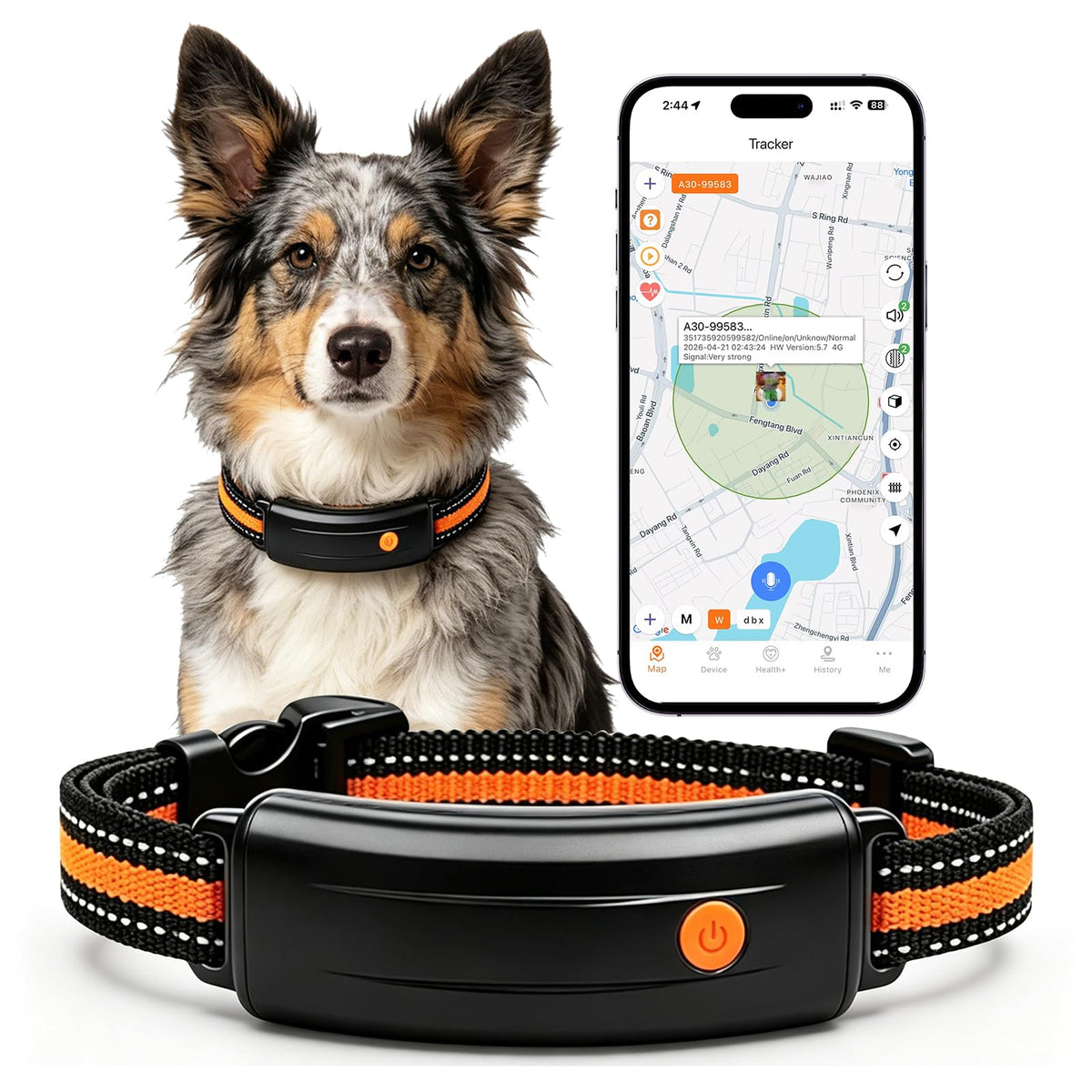 Dog Collar