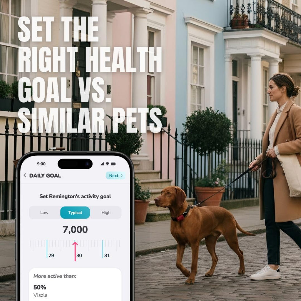 FitBark 2 Dog Health & Activity Monitor Fitness Tracker