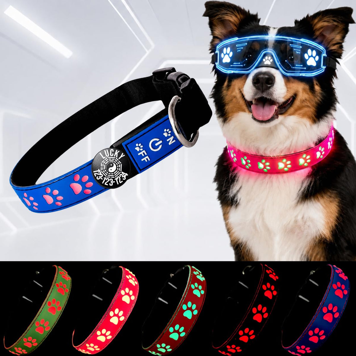 DOGLED LED Light up Dog Collar with Laser Engraved ID Tag, Paw Print Design, 15 Color Modes, USB-C Charging, Waterproof