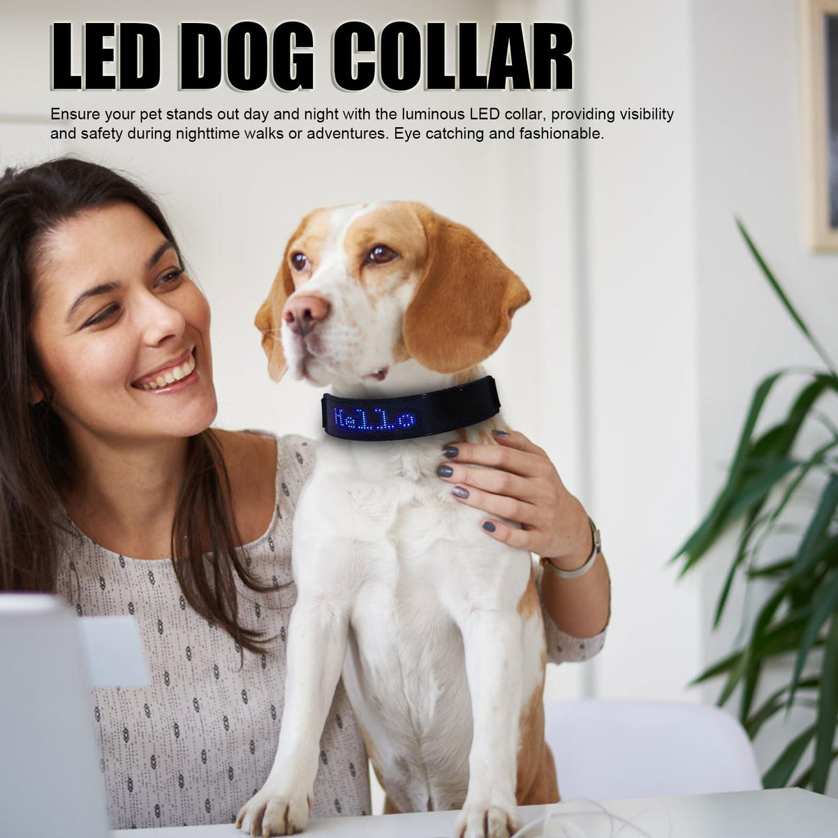 LED Dog Collar, Smart DIY Screen, Dog Tags Personalized Rechargeable Light Up Dog Collar Glow in The Dark Pet Necklace for Night Walking, APP Controlled(Blue Green and Red)
