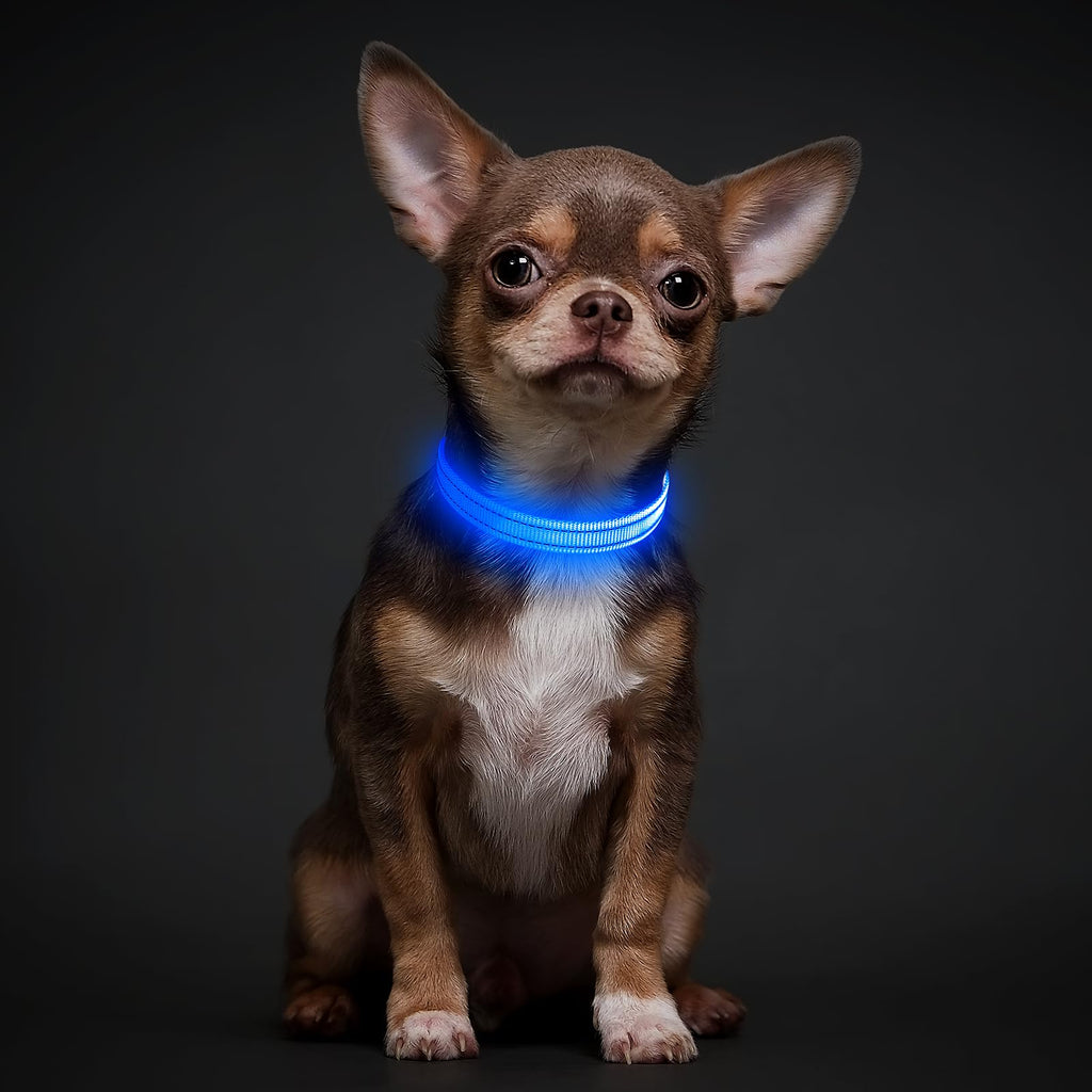 USB-C Rechargeable LED Dog Collar for Night Walking