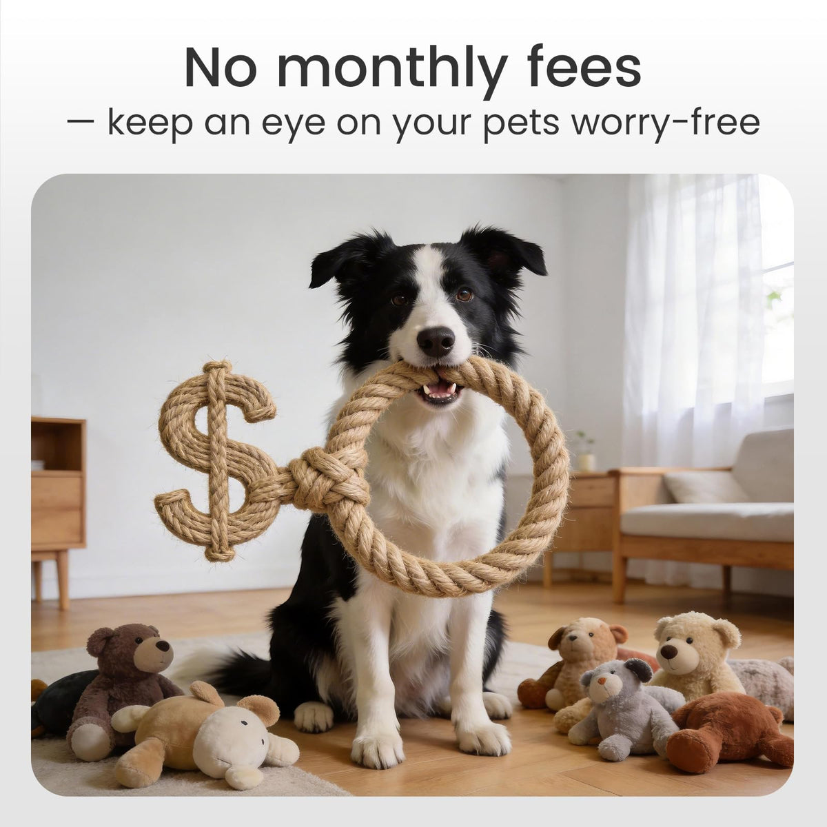 Youkey 2.5K Smart Pet Camera with AI Tracking & Two-Way Audio