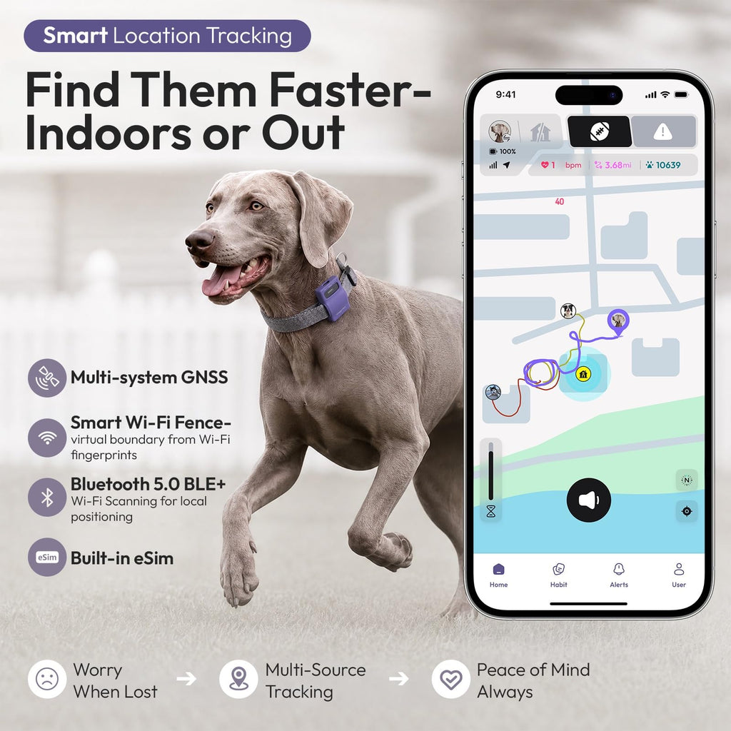 WAGGURACY 4G LTE GPS Dog Activity & Habit Tracker