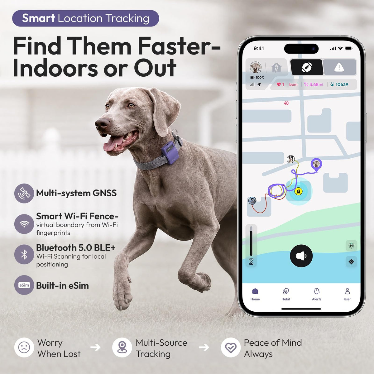 WAGGURACY Pet Habit & Activity Smart Tracker, 4G LTE GPS Tracker for Dogs