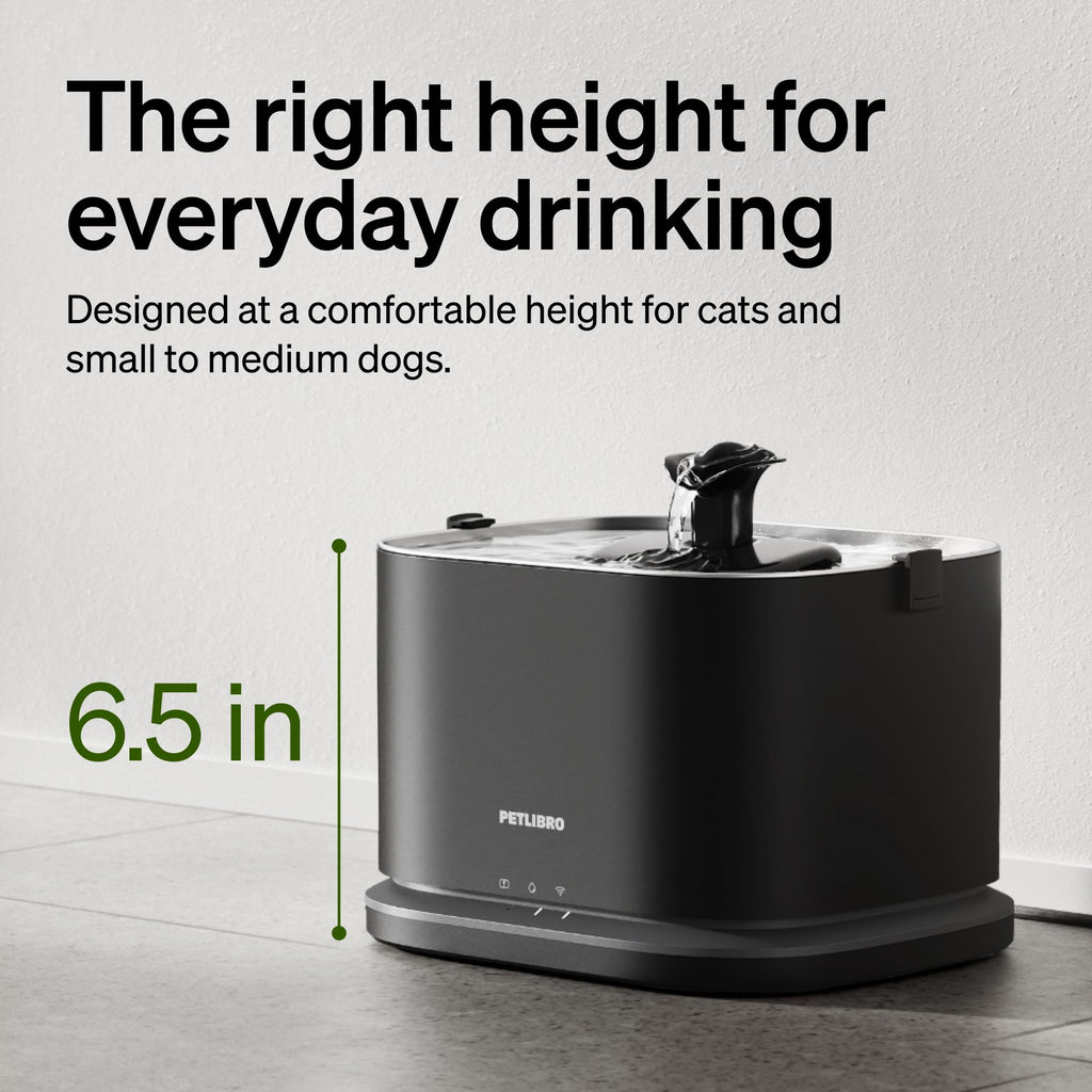 PETLIBRO Upgrade Cat Water Fountain Stainless Steel Tray, Dockstream 2 CatFountain Indoor, 3L/101oz Auto Cat Fountains, App Monitoring Pet Water Fountain Dog, 5G WiFi CatWater Dispenser(Pack of 8)