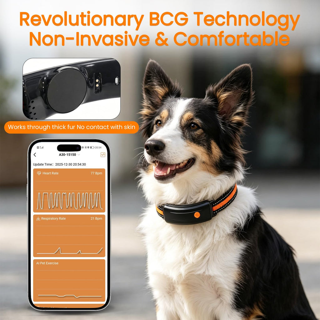 PetSafe Wireless Dog Fence System for Secure Containment