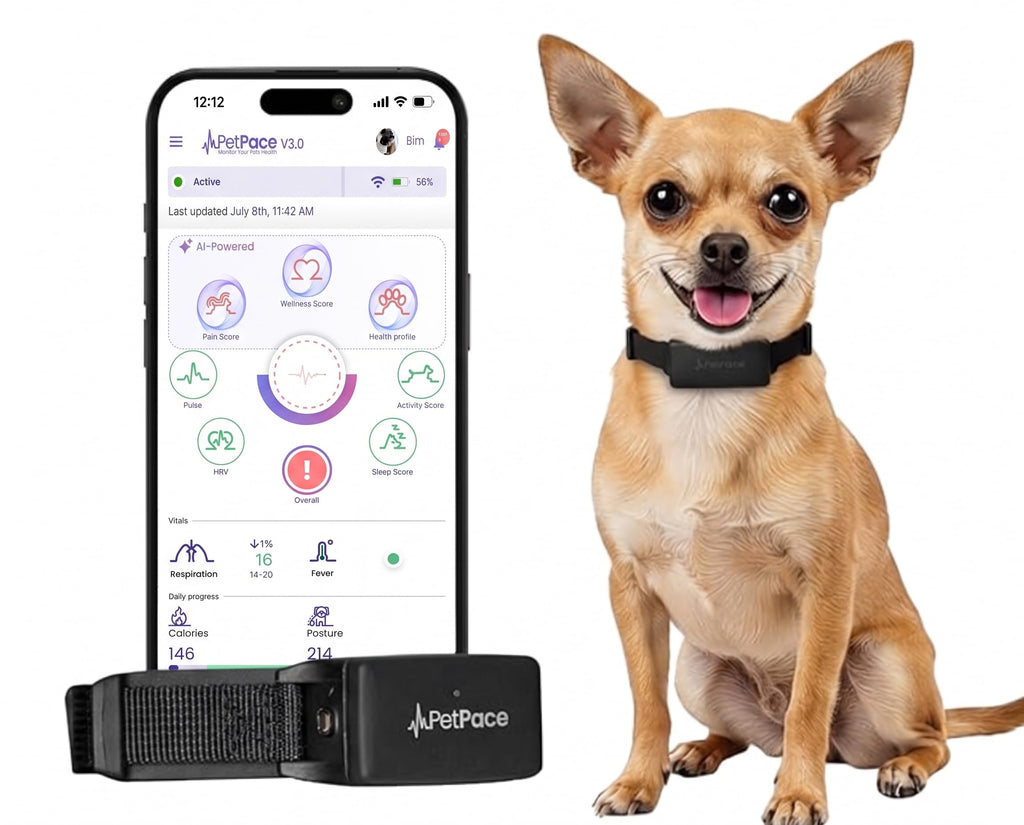 PetPace V3.0 AI Dog Health & GPS Monitoring Collar