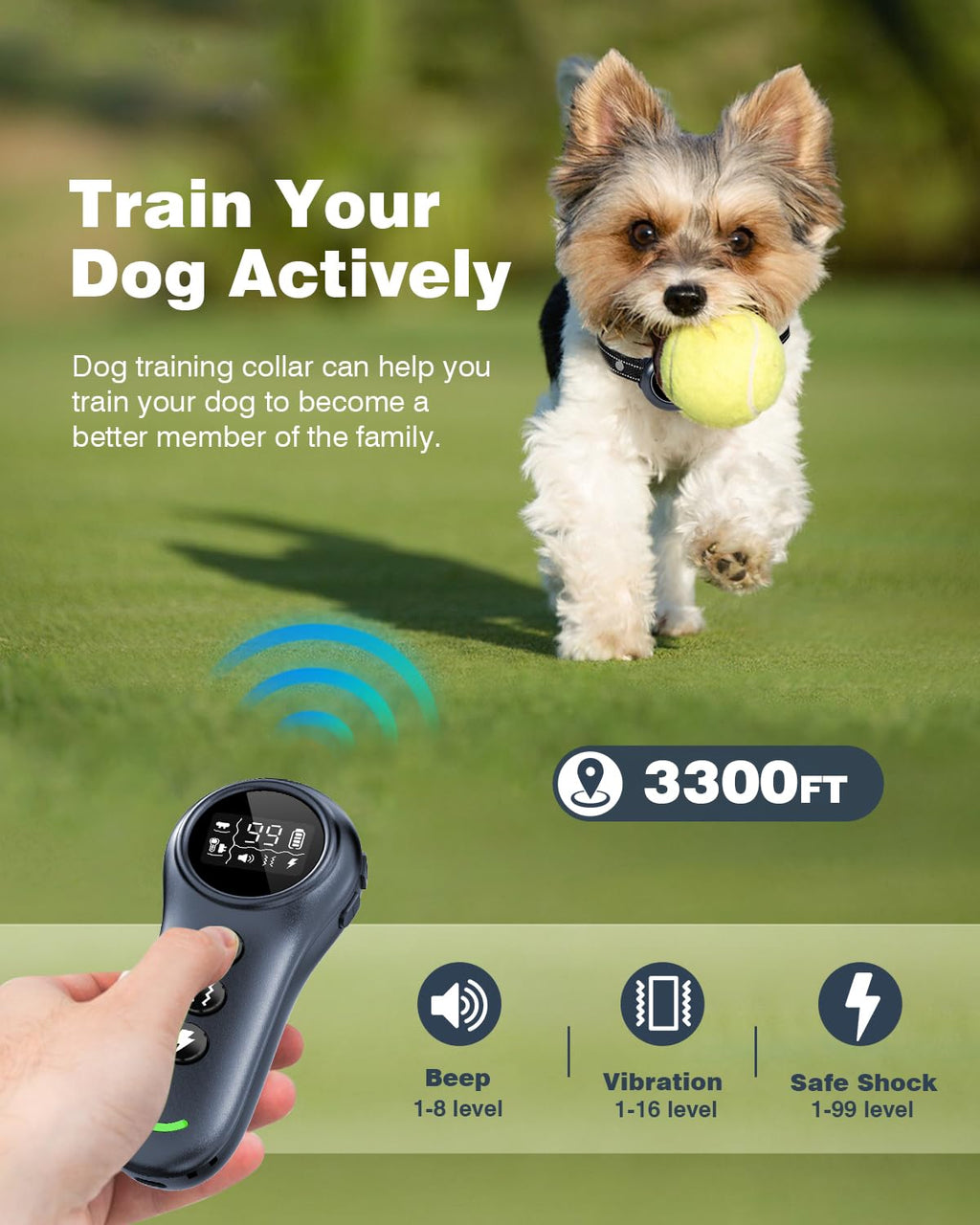 2-in-1 Smart Anti-Bark Dog Training Collar with Remote