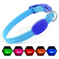 USB-C Rechargeable LED Dog Collar for Night Walking
