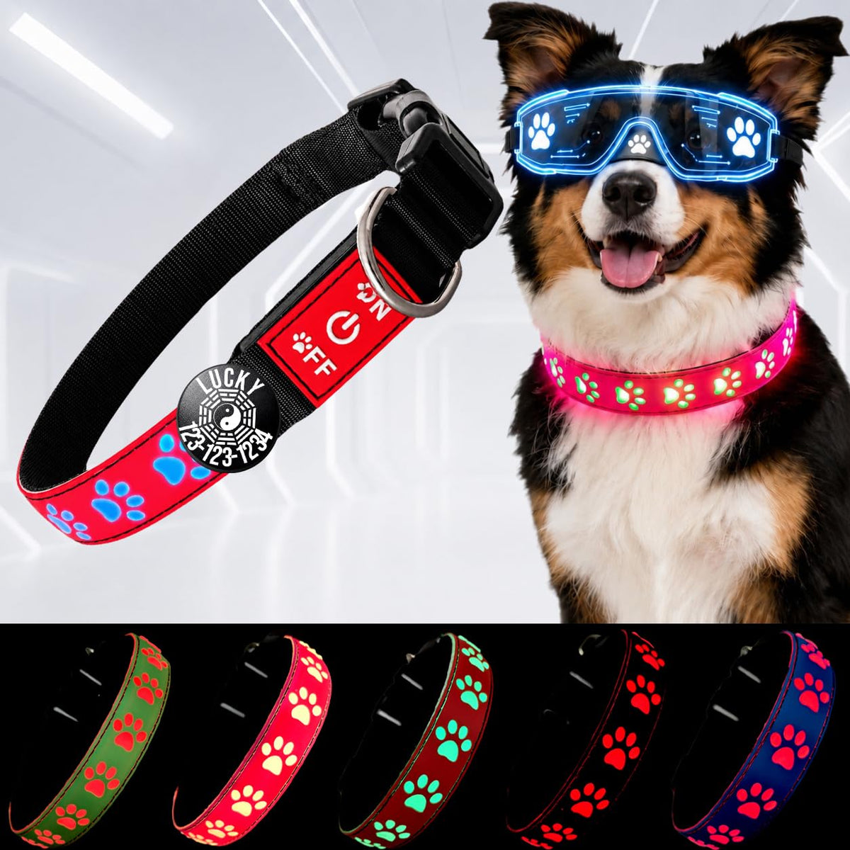 DOGLED LED Light up Dog Collar with Laser Engraved ID Tag, Paw Print Design, 15 Color Modes, USB-C Charging, Waterproof