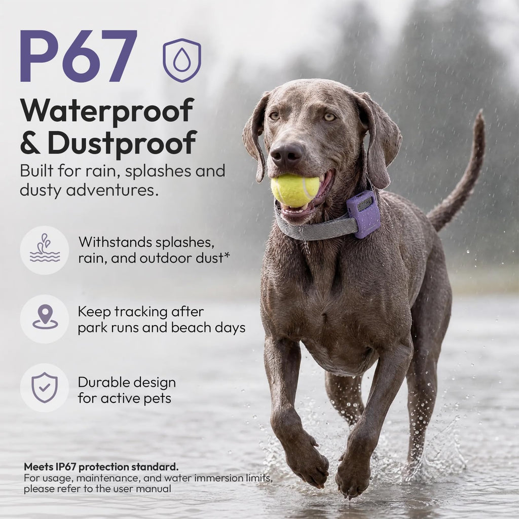 WAGGURACY 4G LTE GPS Dog Activity & Habit Tracker