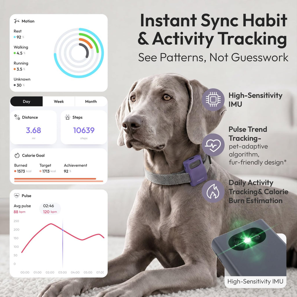WAGGURACY 4G LTE GPS Dog Activity & Habit Tracker
