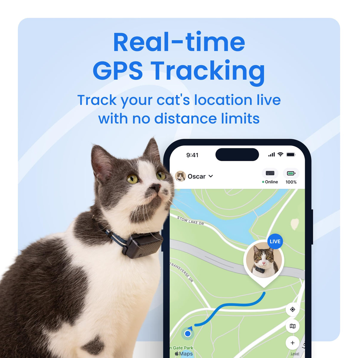 Tractive Smart Cat GPS Tracker | Real-Time Location & Wellness Monitoring for Cats 6.5 lbs+ | Territory & Location History | Up to 5-Day Battery | Breakaway Collar Included
