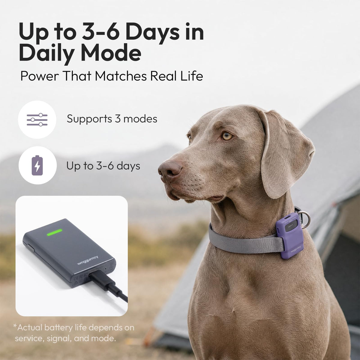 WAGGURACY 4G LTE GPS Dog Activity & Habit Tracker