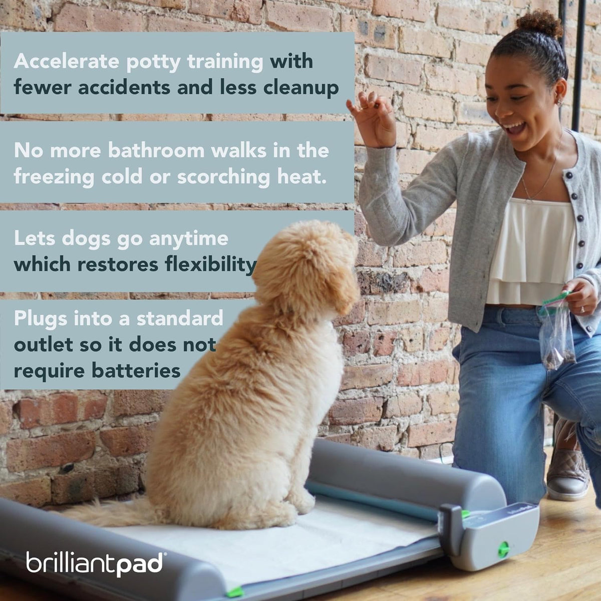 BrilliantPad Self-Cleaning Indoor Dog Potty System