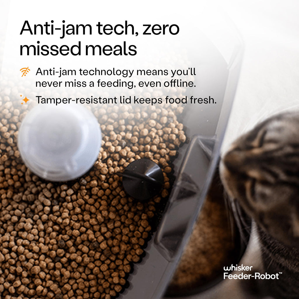 Whisker Feeder-Robot Smart Automatic Pet Feeder with App