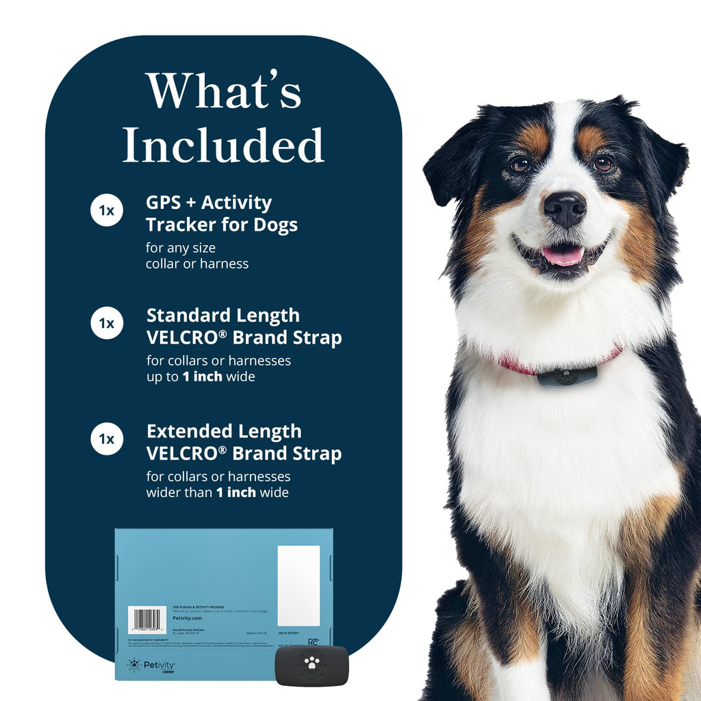 Petivity Smart GPS & Activity Tracker Tag for Dogs