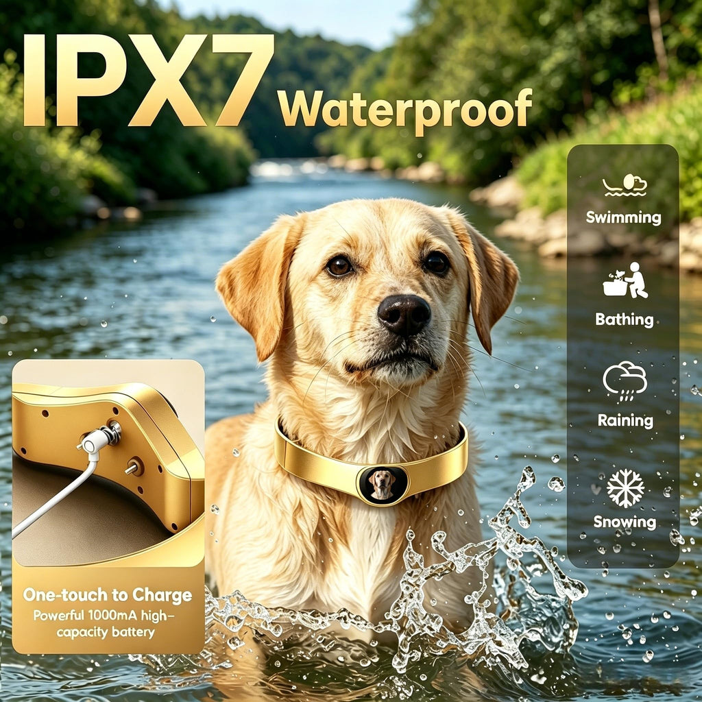 GPS Wireless Dog Fence Collar System with Free App Control