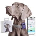 WAGGURACY 4G LTE GPS Dog Activity & Habit Tracker