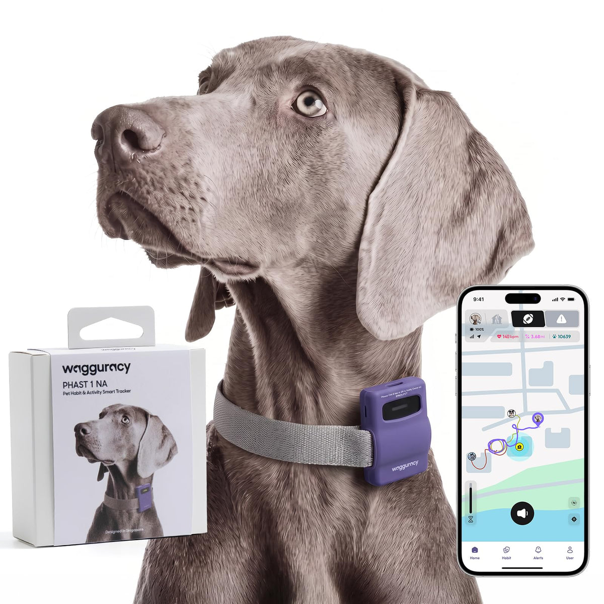 WAGGURACY Pet Habit & Activity Smart Tracker, 4G LTE GPS Tracker for Dogs