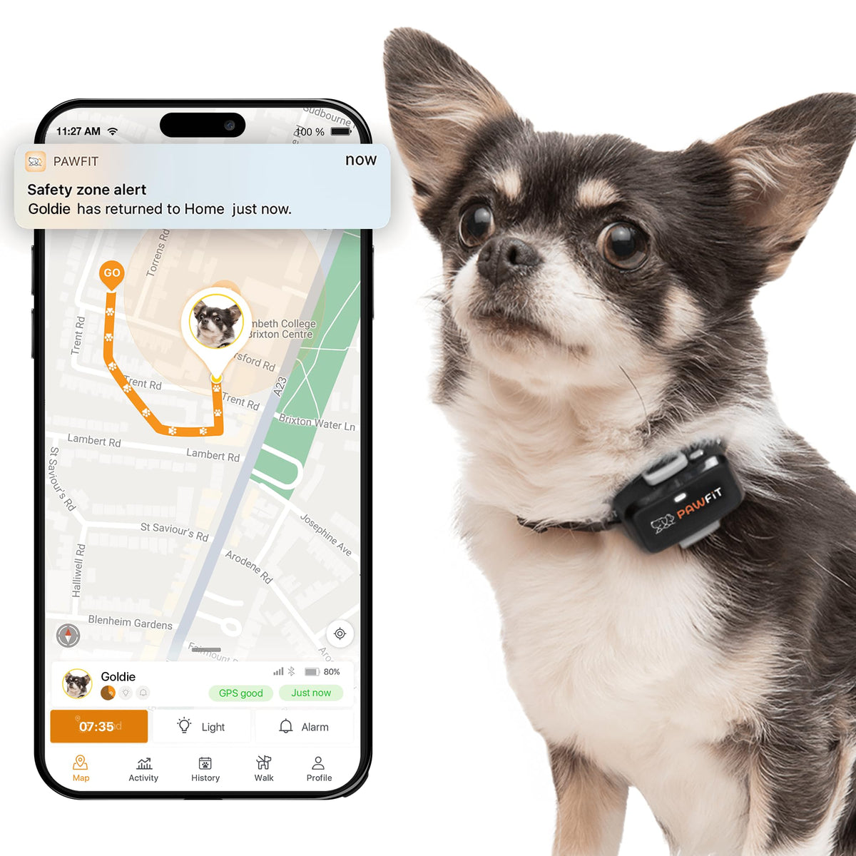 Pawfit Lite 4G GPS Dog Tracker, Live Tracking, Ultra-Light