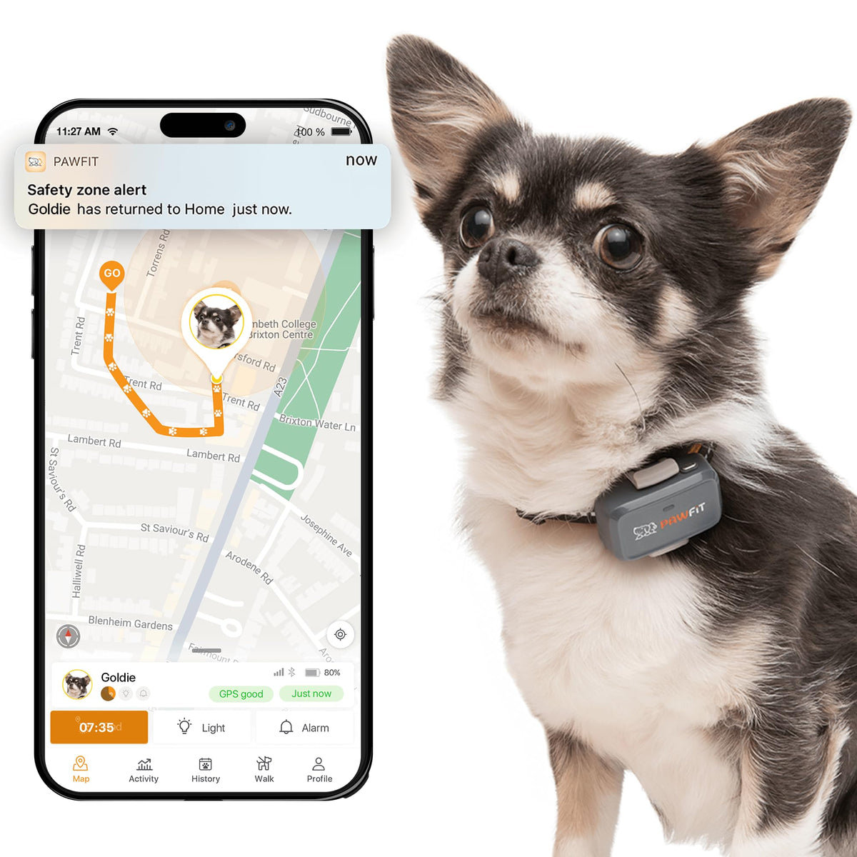 Pawfit Lite 4G GPS Dog Tracker, Live Tracking, Ultra-Light