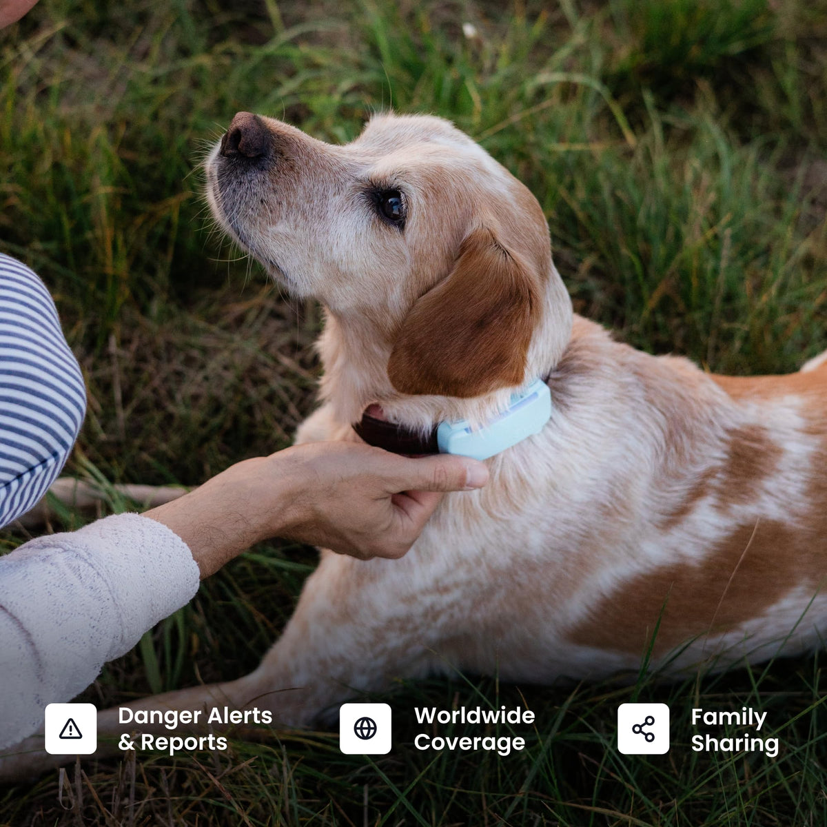Tractive Smart Dog GPS Tracker with Virtual Fence & Health Monitoring
