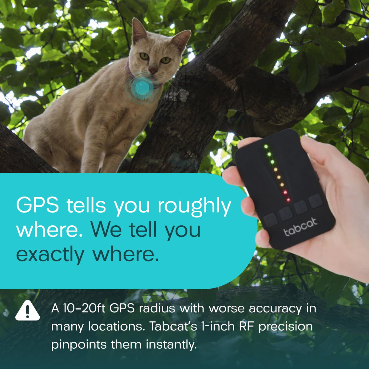 Tabcat V2 Cat & Kitten Tracker - More Accurate Than GPS - No Monthly Fee or Subscription - Includes 2 Homing Tags - Small & Lightweight Tags Perfect to Find Indoor & Outdoor Cats