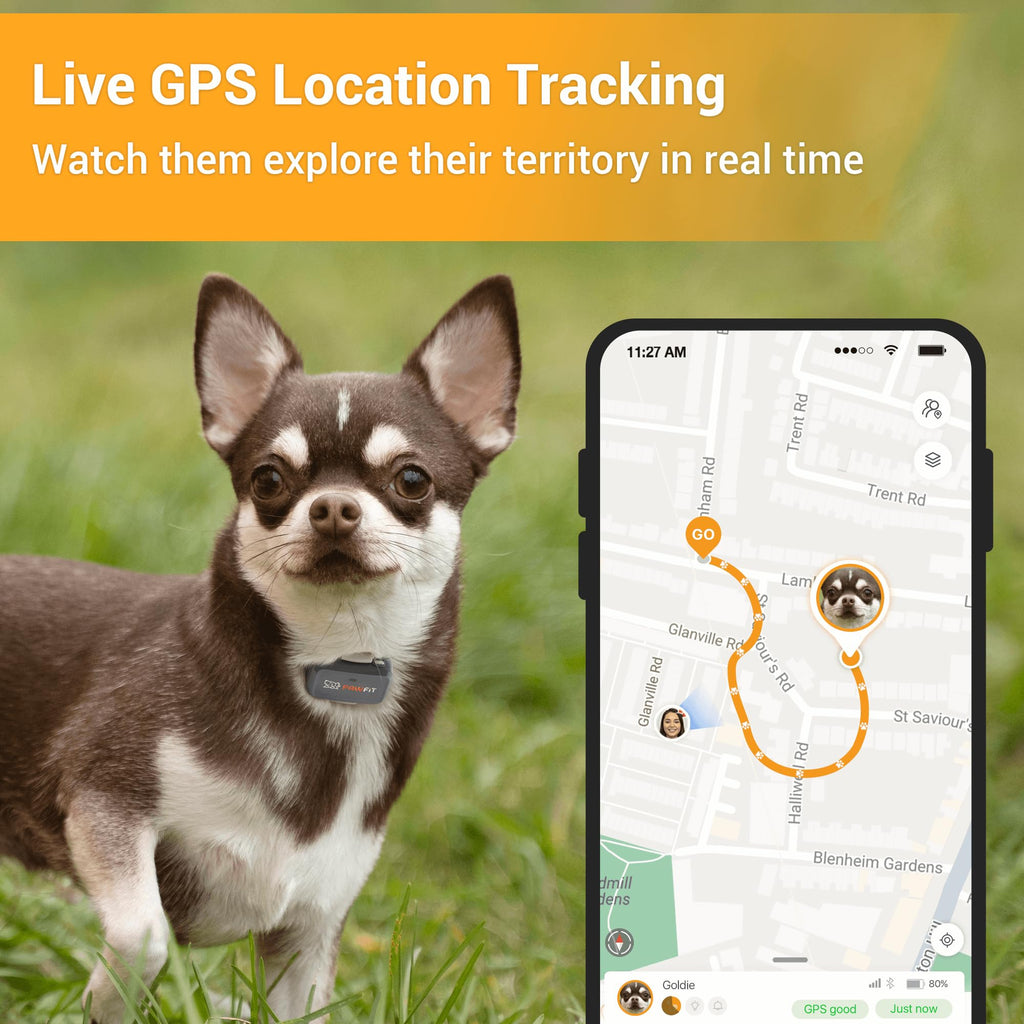 Pawfit Lite 4G GPS Dog Tracker with Live Tracking