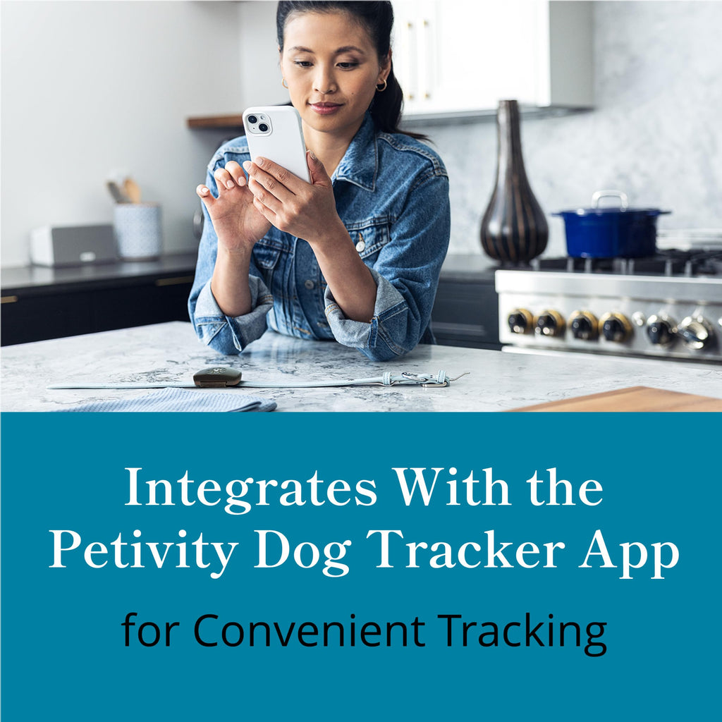 Petivity Smart GPS & Activity Tracker Tag for Dogs