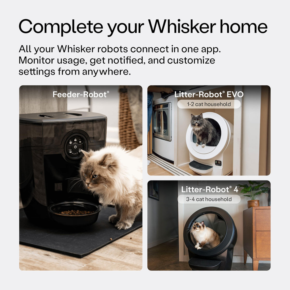 Whisker Feeder-Robot Smart Automatic Pet Feeder with App