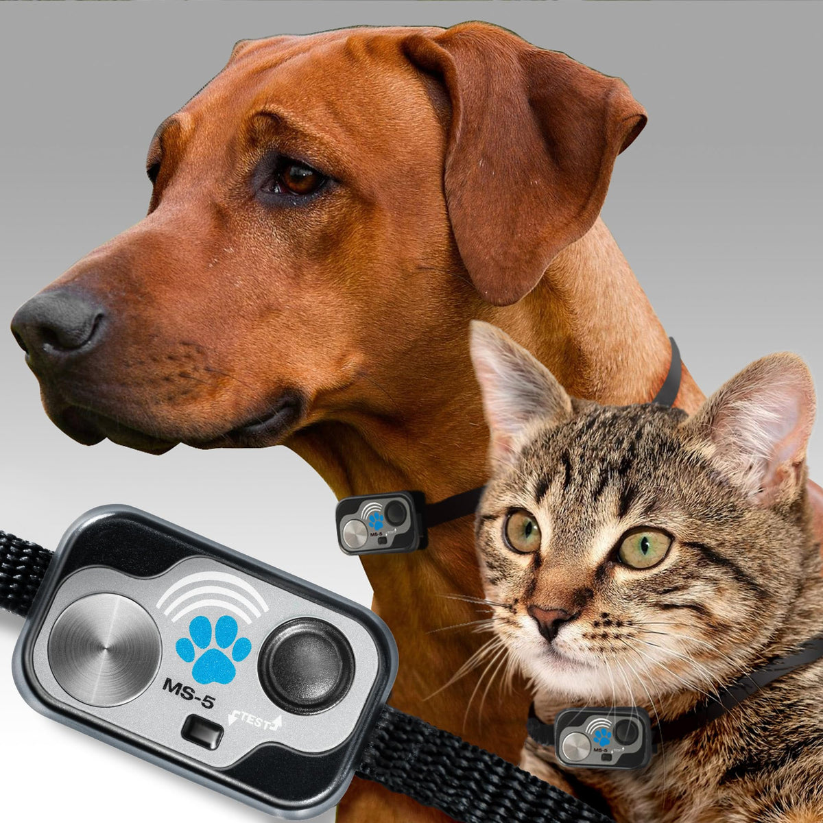 High Tech Pet Power Pet Automatic Electronic Pet Door