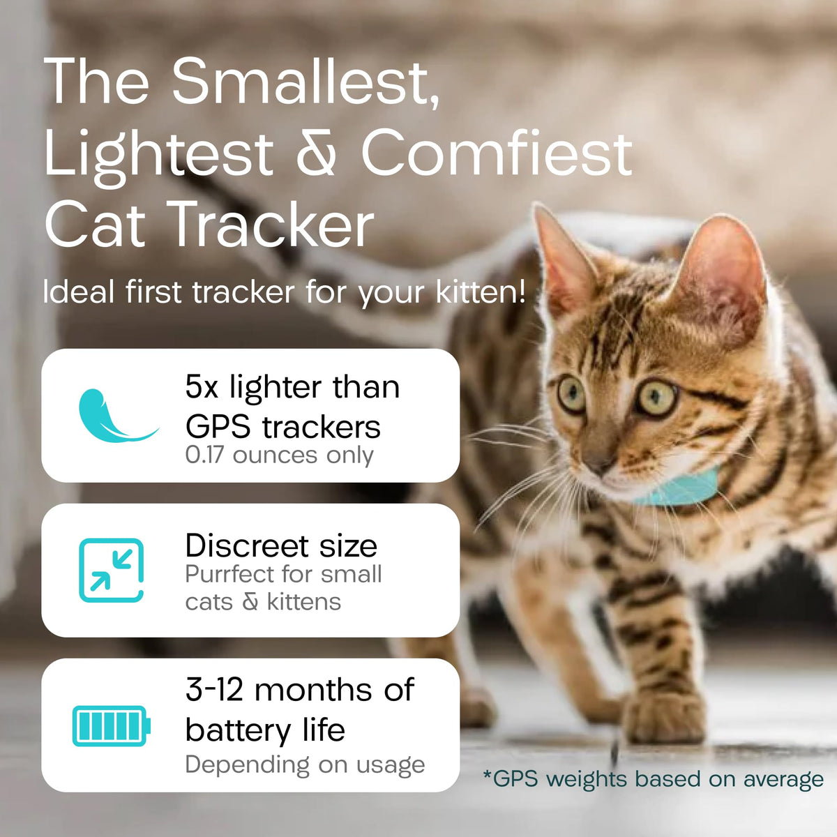 Tabcat V2 Cat & Kitten Tracker - More Accurate Than GPS - No Monthly Fee or Subscription - Includes 2 Homing Tags - Small & Lightweight Tags Perfect to Find Indoor & Outdoor Cats