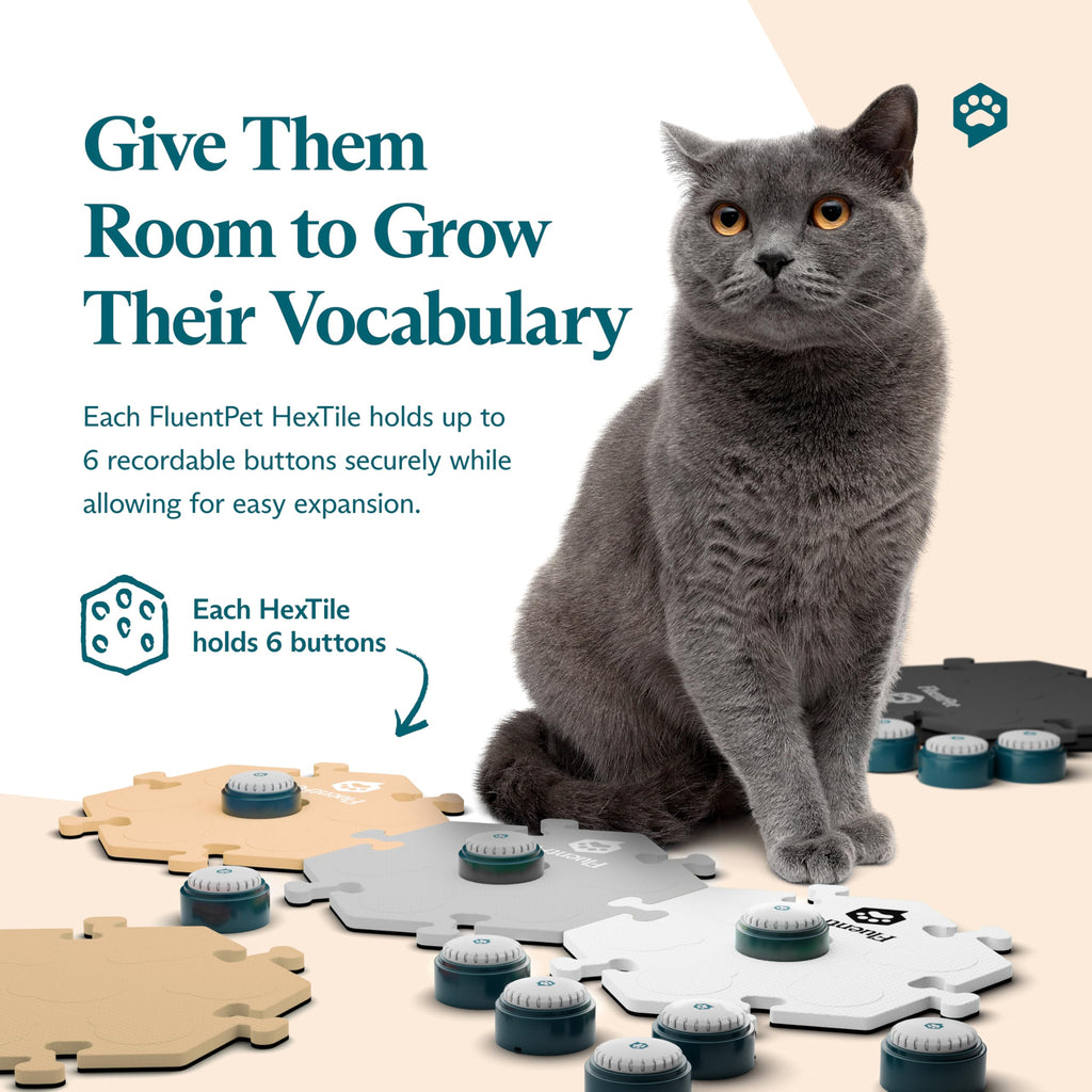 FluentPet Talking Button Kit for Interactive Pet Training