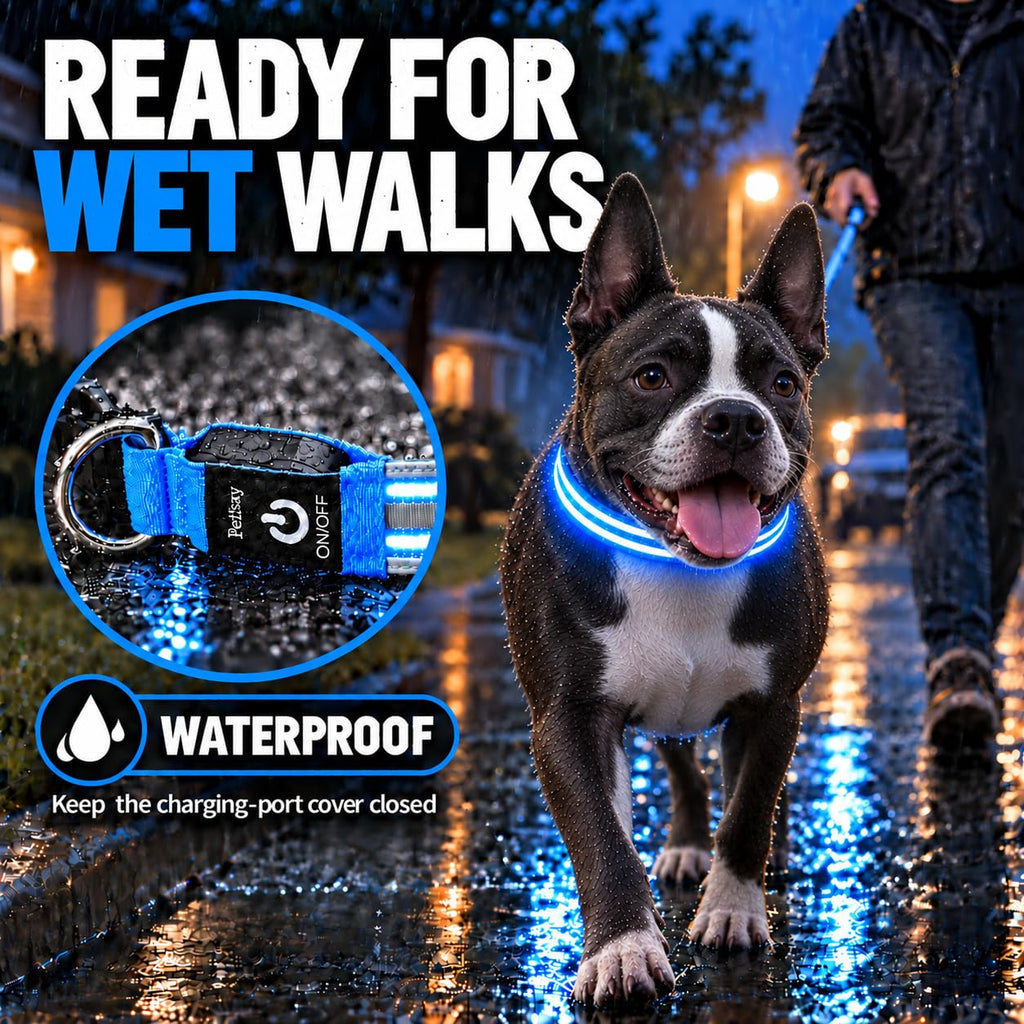 PetIsay Rechargeable LED Dog Collar for Night Safety
