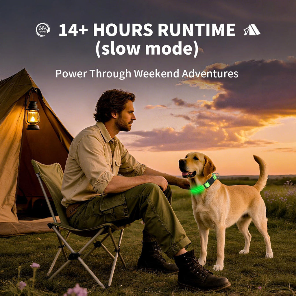PetIsay Rechargeable LED Dog Collar for Night Safety
