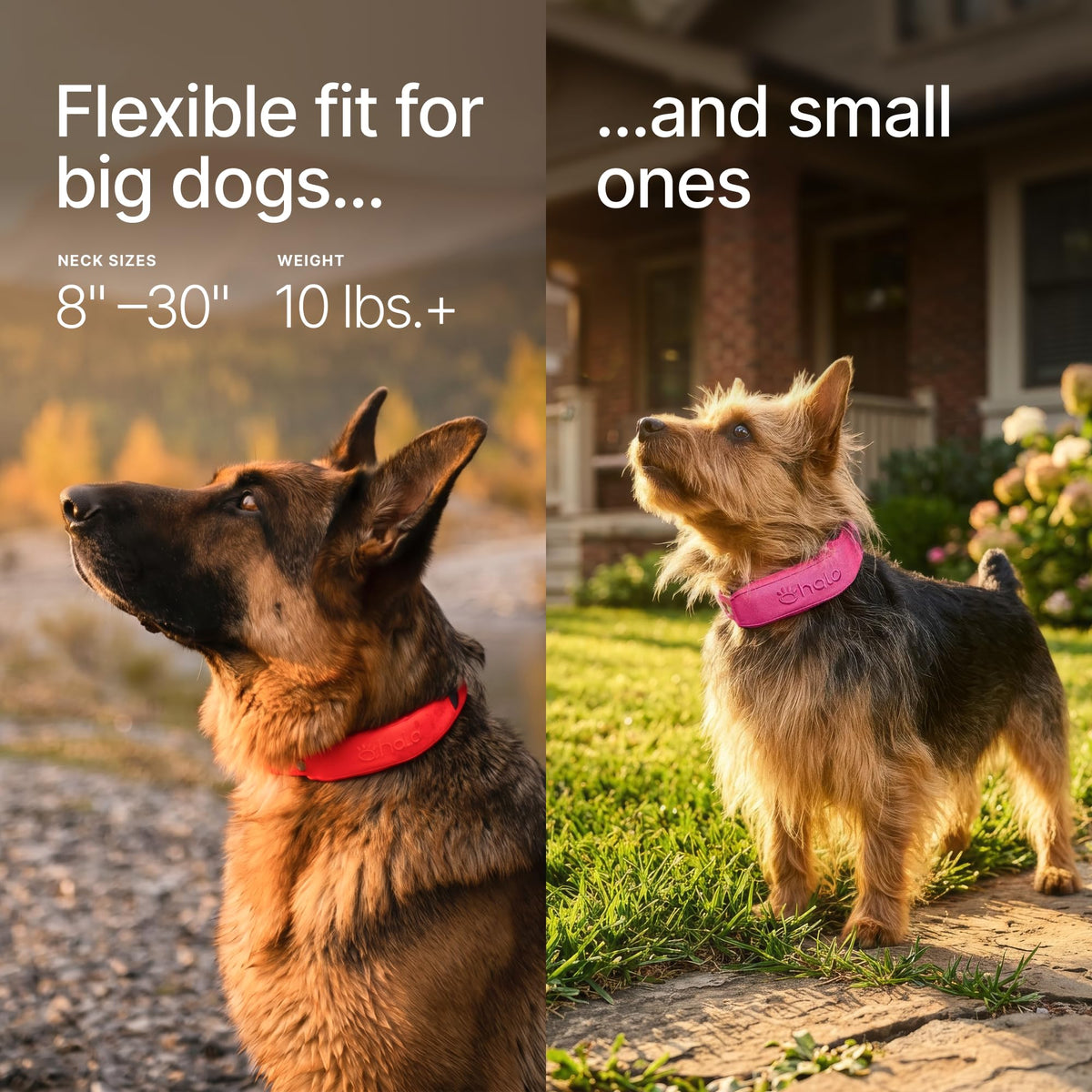 Halo Collar 5 Wireless Dog Fence System, GPS Tracking & Activity Insights