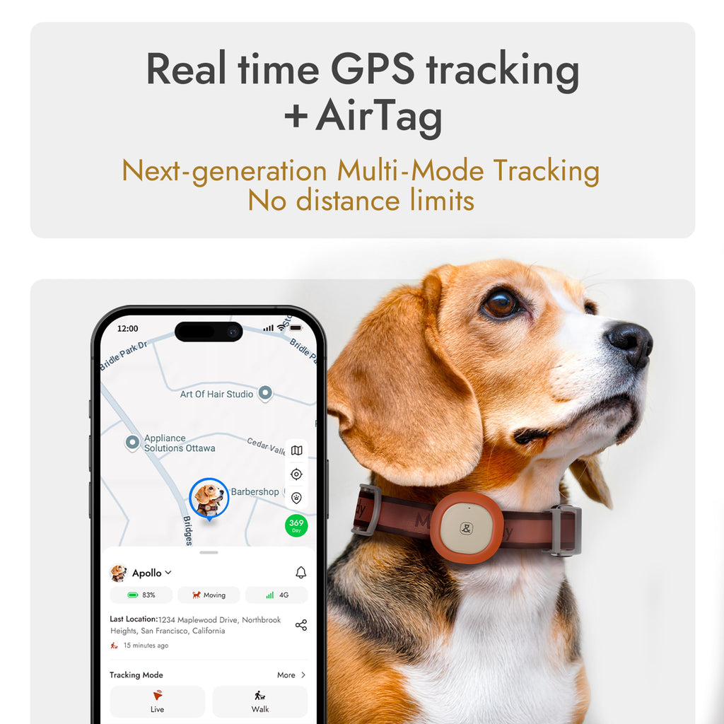 Molly&Cody GPS + Bluetooth Pet Tracker for Cats & Dogs – Real‑Time Tracking, Virtual Fence, IP67 Waterproof, Up to 60‑Day Battery, Health Monitoring, iOS/Android – Subscription Required