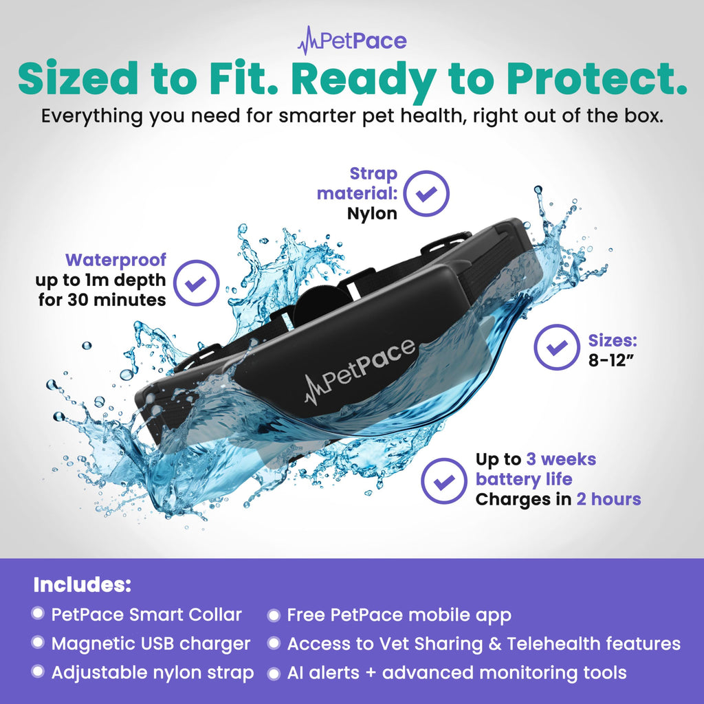PetPace V3.0 AI Cat Health & GPS Monitoring Collar
