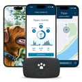 Petivity Smart GPS & Activity Tracker Tag for Dogs