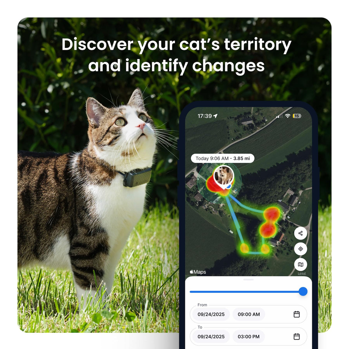 Tractive Smart Cat GPS Tracker | Real-Time Location & Wellness Monitoring for Cats 6.5 lbs+ | Territory & Location History | Up to 5-Day Battery | Breakaway Collar Included
