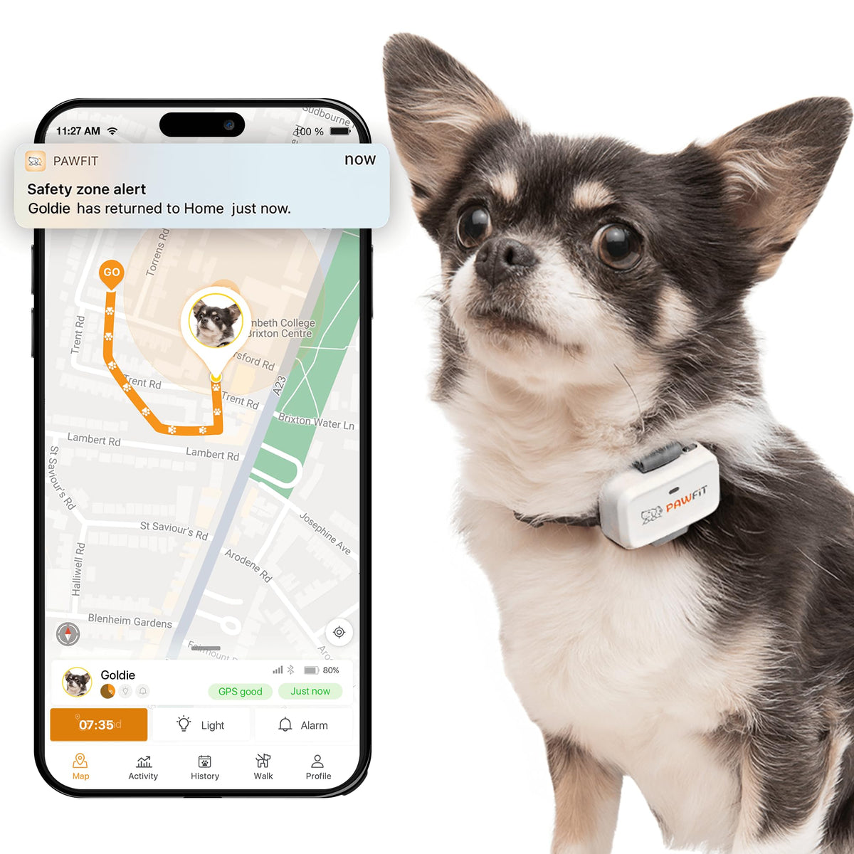 Pawfit Lite 4G GPS Dog Tracker, Live Tracking, Ultra-Light