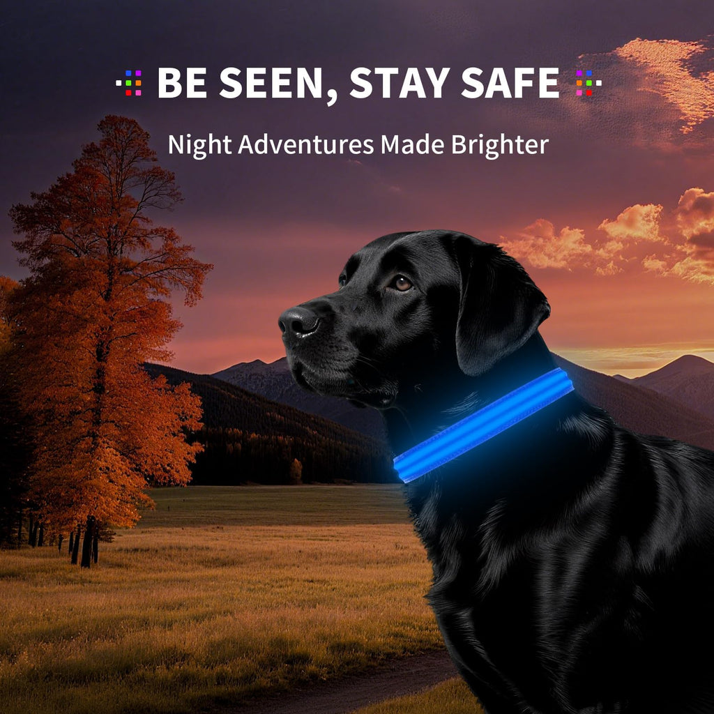 PetIsay Rechargeable LED Dog Collar for Night Safety