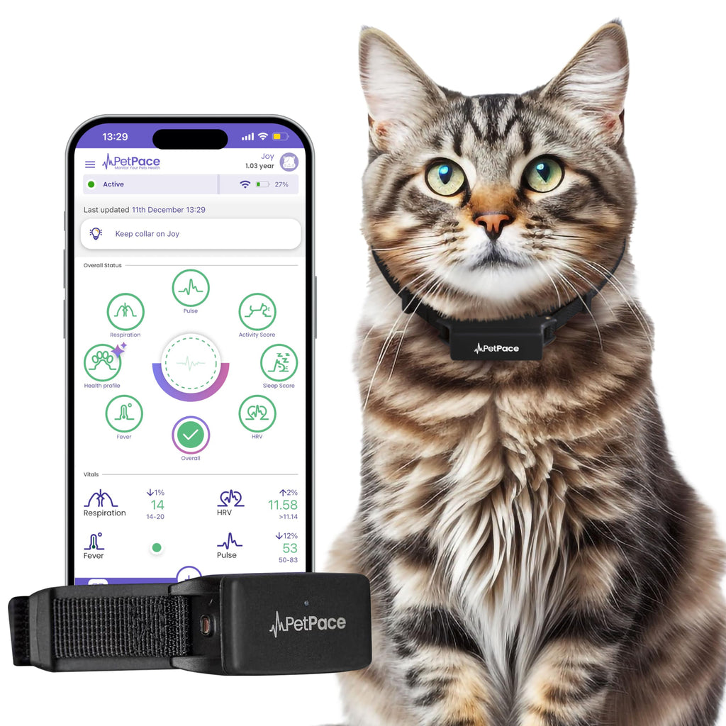 PetPace V3.0 AI Cat Health & GPS Monitoring Collar