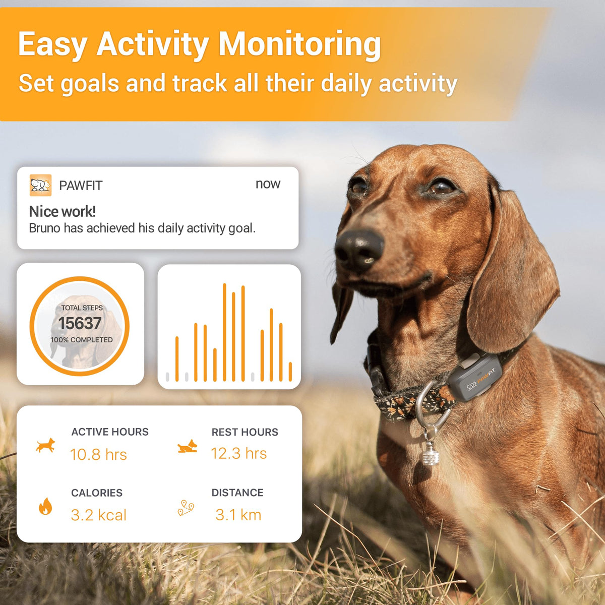 Pawfit Lite 4G GPS Dog Tracker, Live Tracking, Ultra-Light